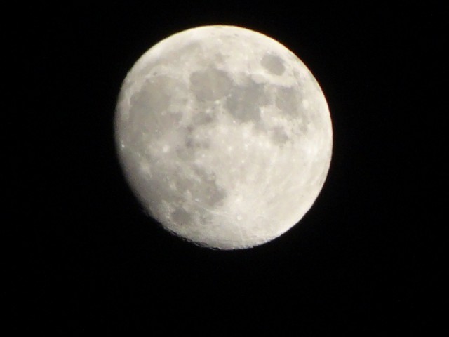 191939554_org.v1476587599