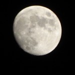 191939554_org.v1476587599