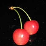 さくらんぼ
