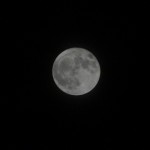 DSC00387.JPG