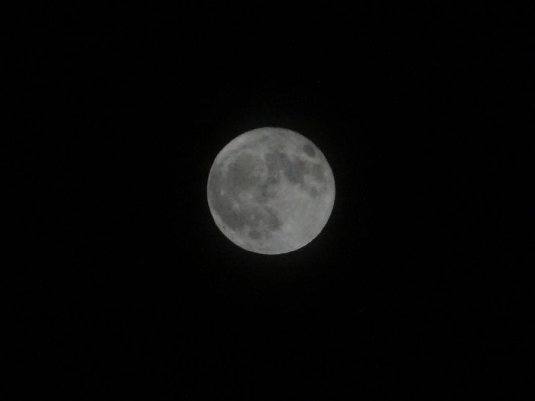 DSC00387.JPG