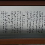 DSC00253.JPG