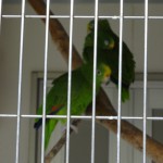 DSC00325.JPG
