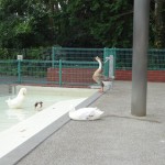 DSC00326.JPG