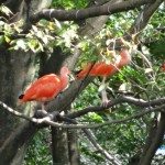 DSC00336.JPG
