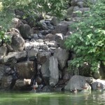 DSC00338.JPG