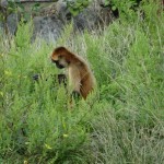 DSC00342.JPG