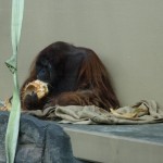 DSC00346.JPG