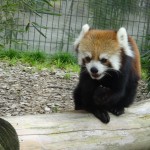 DSC00372.JPG
