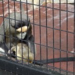 DSC00304.JPG