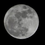 7BB88769-4C94-493F-9695-F9E8E049ADF6