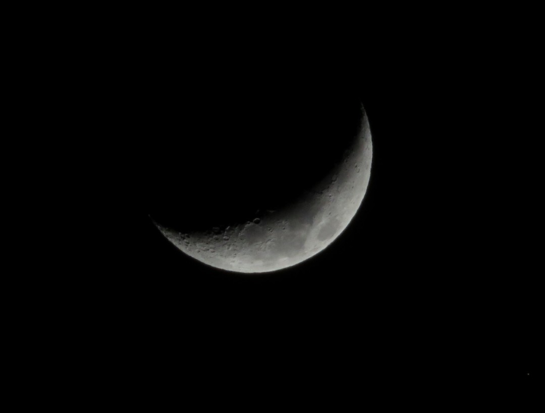 IMG_0150.JPG