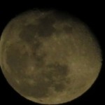 IMG_0306.JPG