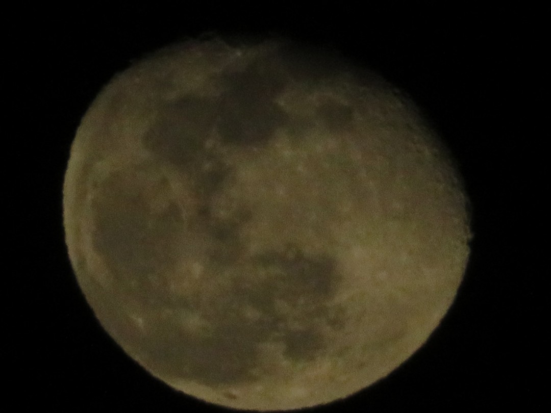 IMG_0306.JPG