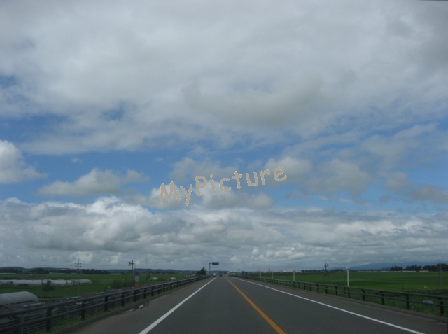 2009夏の庄内平野