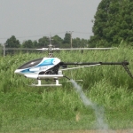模型