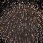 IMG_2246.jpg