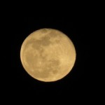 581A9C15-4E72-413B-A047-CCE5ADB66ACD