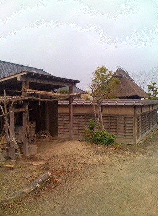 iPhone-241109-1544