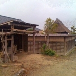 iPhone-241109-1544