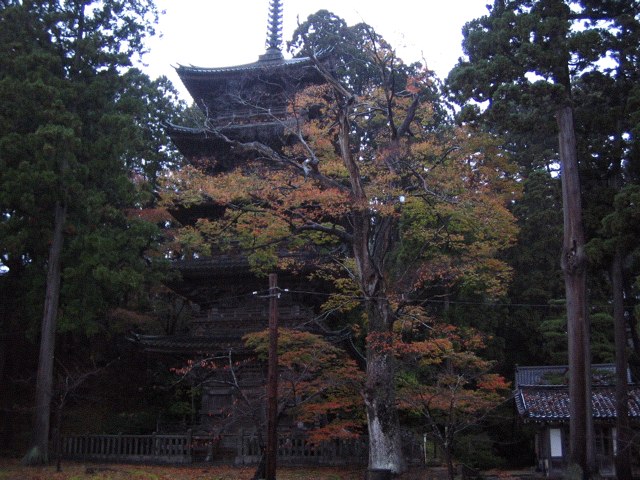 iPhone-241109-1654