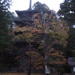 iPhone-241109-1654