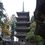 iPhone-241109-2211
