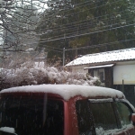 iPhone-151209-1337