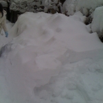 iPhone-201209-1153