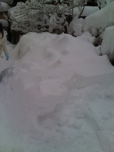 iPhone-201209-1153