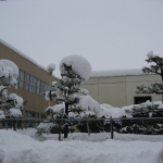 IMG_2615.jpg