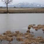 IMG_2647.jpg