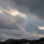 IMG_2648.jpg