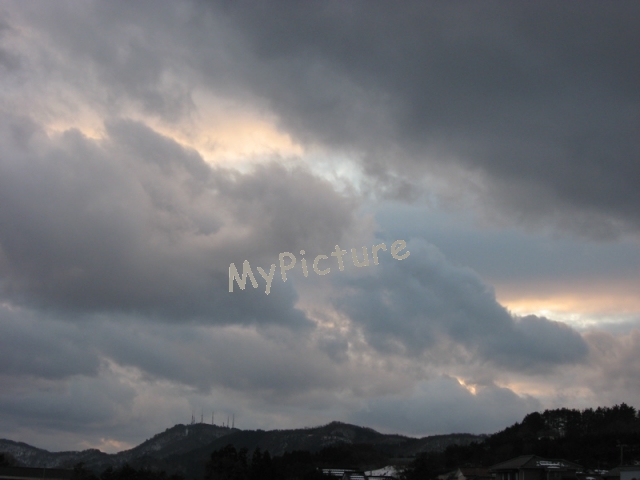 IMG_2648.jpg