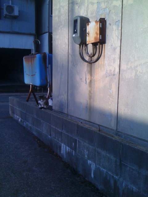 iPhone-010110-1235