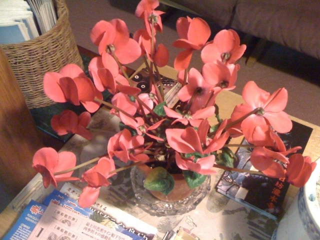 iPhone-020110-2211