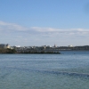 IMG_0002.JPG