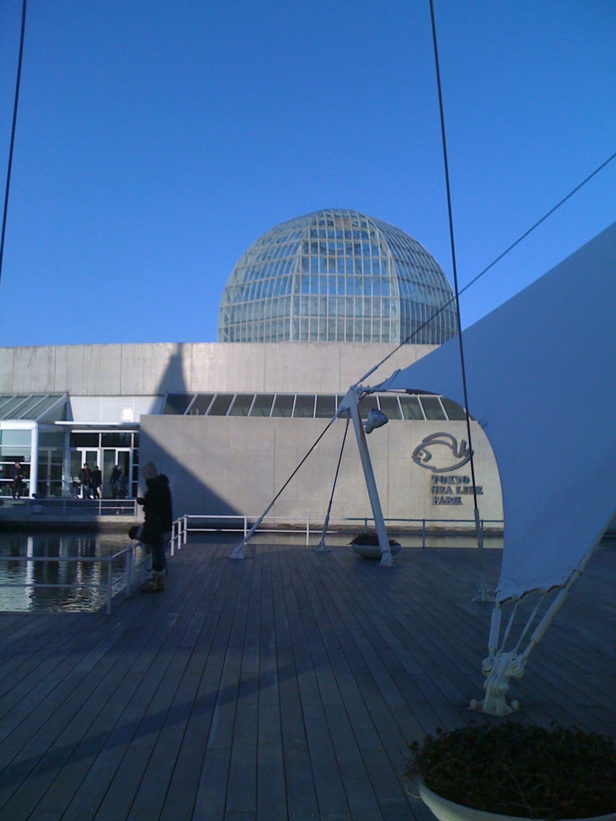 iPhone-210110-1602