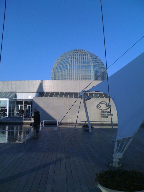iPhone-210110-1602
