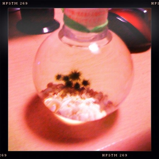 iPhone-220110-2202