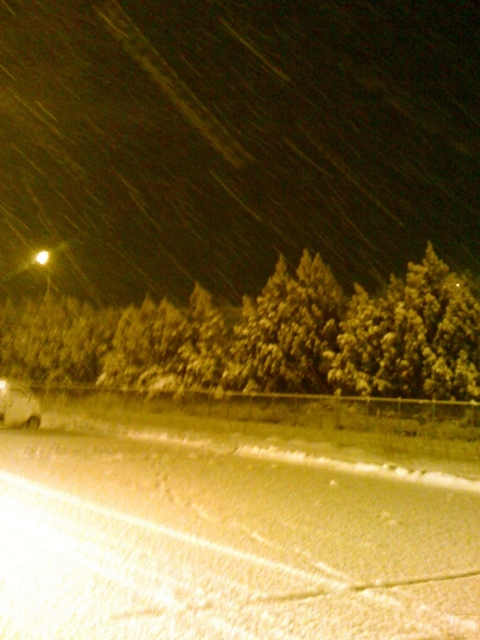 iPhone-050210-1412
