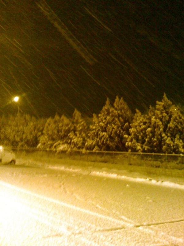 iPhone-050210-1412