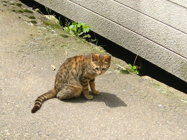 IMG_0743.JPG