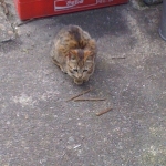 IMG_4221.jpg