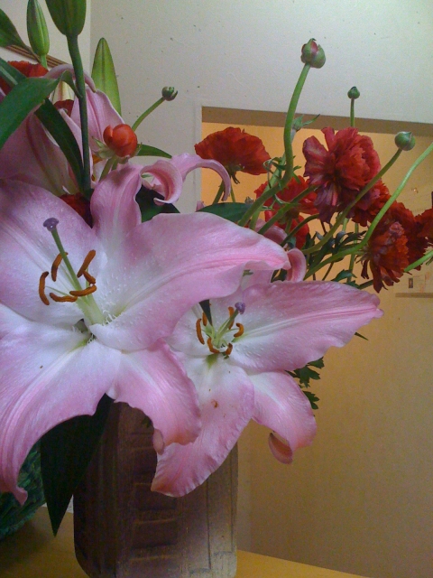 IMG_0578.jpg