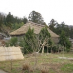 藤沢地区の風景