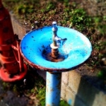 藤沢地区の水飲み場