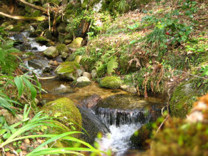 金峰山の登山口