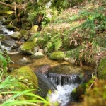 金峰山の登山口