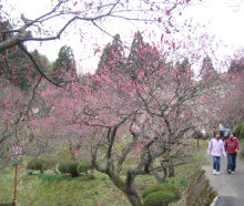梅林公園